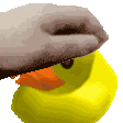 Pet Duck Sticker