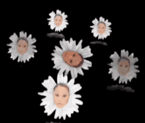 Petal Ariana Grande GIF
