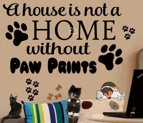 Pets GIF