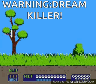 Pheasant Pheasant Hunting GIF