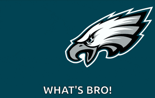 Philadelphia Eagles Fly Eagles Fly GIF