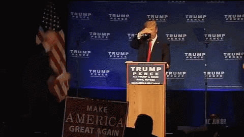 Philadelphia Eagles Trump Eagle GIF