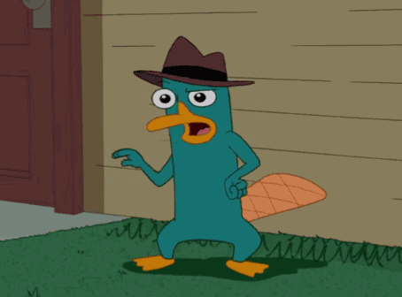 Phineas And Ferb Perry GIF
