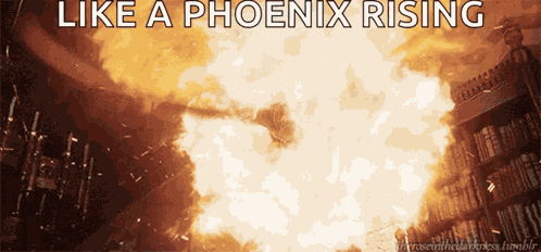 Phoenix Fantastic Beasts GIF