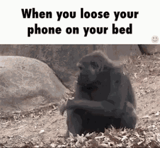 Phone Who Needs Coffee GIF