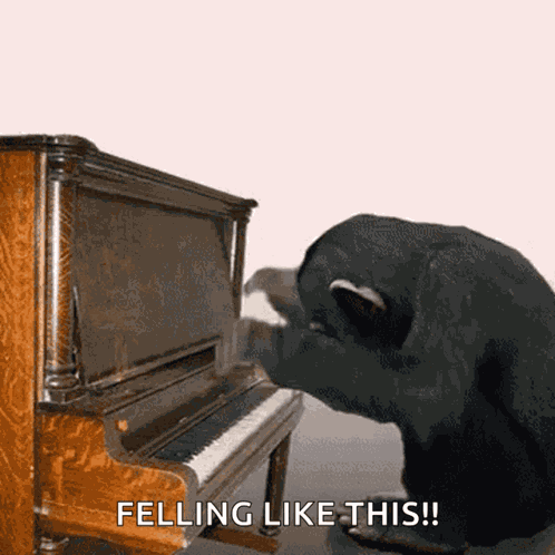 Piano GIF