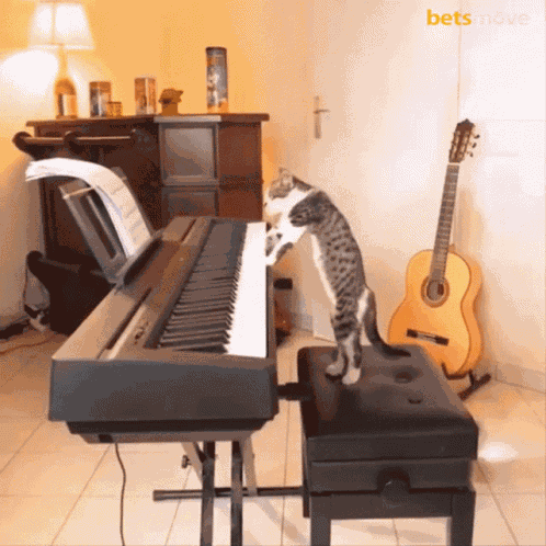 Piano Müzik GIF