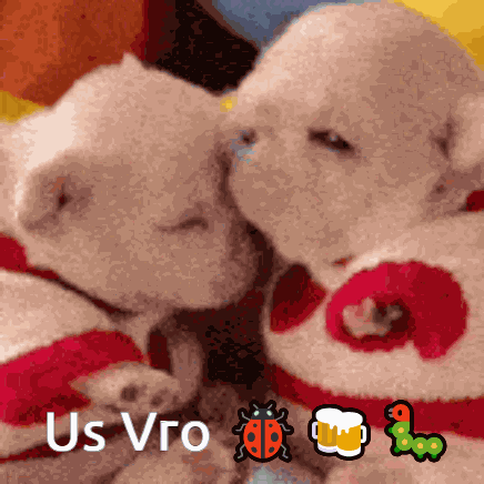 Pibble Gmail GIF