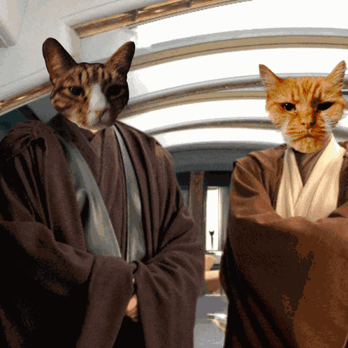 Pickles And Walter Aniken Meme