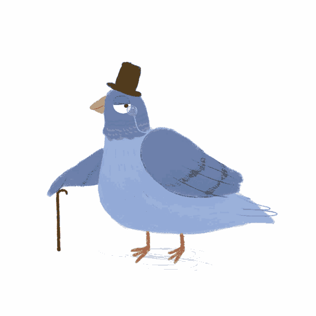 Pigeon Fancy GIF