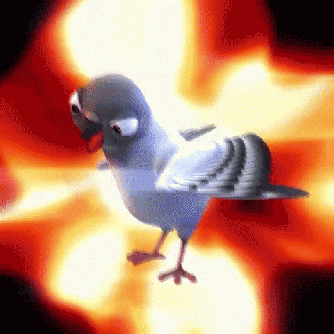 Pigeon Well GIF