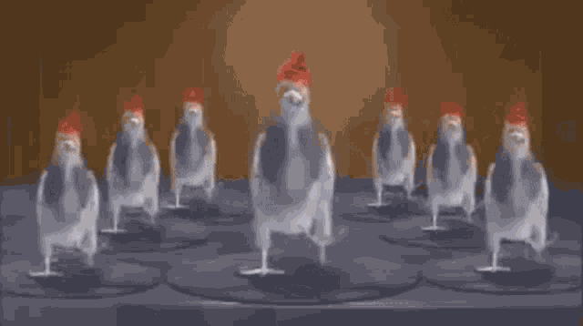 Pigeons Dancing Pajaron Bailando GIF