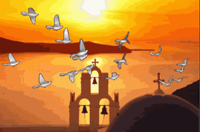 Pigeons Flying GIF