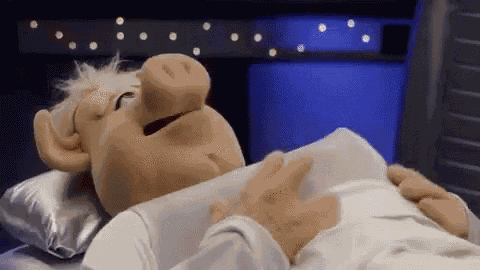 Pigs In Space GIF
