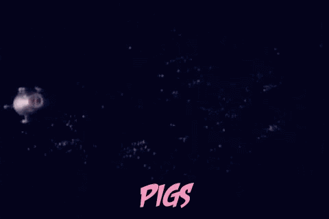 Pigs In Space GIFs
