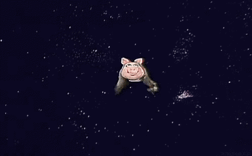 Pigs In Space GIF