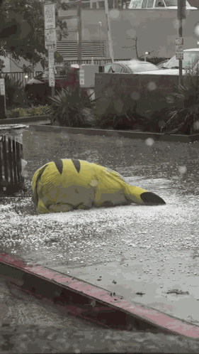 Pikachu GIF