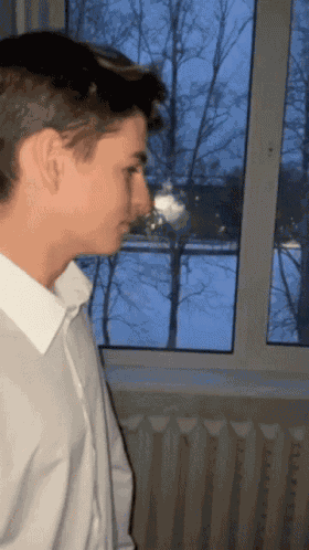 Piluga Dima GIF