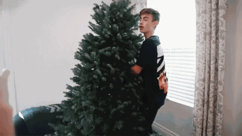 Pine Tree Christmas Tree GIF