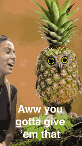 Pineowl Pineowl Meme GIF