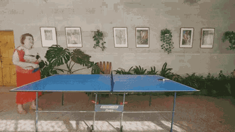 Ping Pong Faradenza GIF