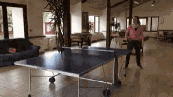 Ping Pong GIF