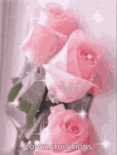 Pink Color Pink GIF