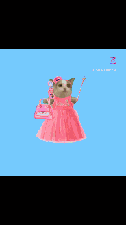 Pink Dress Cat GIF