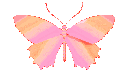 Pink Shining Butterfly Sticker