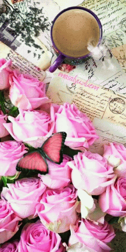 Pink57 Glitering57 GIF