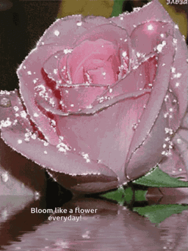 Pinks Pink Glitter GIF