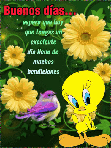 Piolin Soogyu GIF