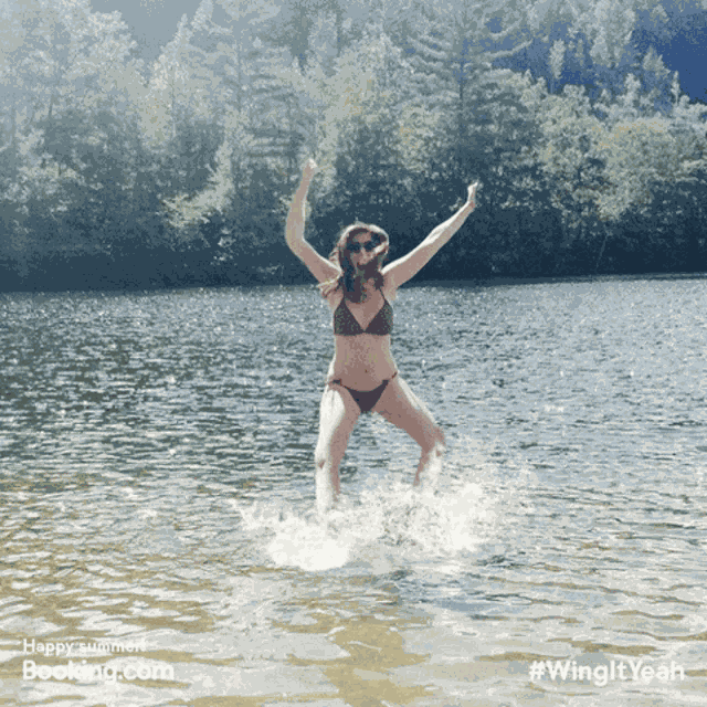 Piranha Splash GIF