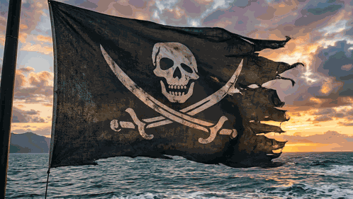 Pirate Pirate Flag GIF