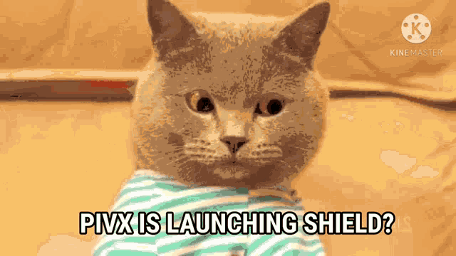 Pivx Shield GIF