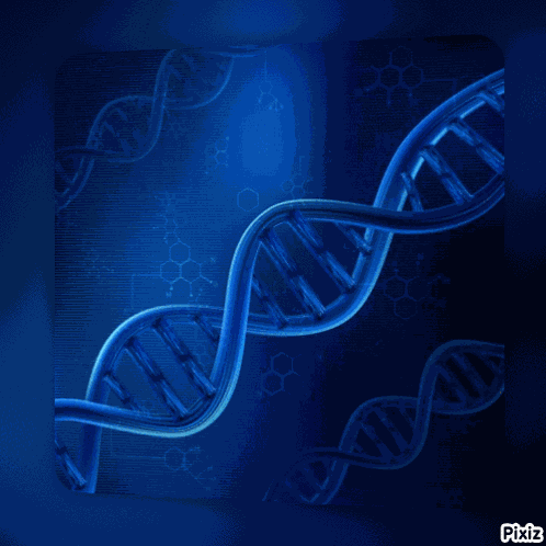 Pixiz Dna GIF