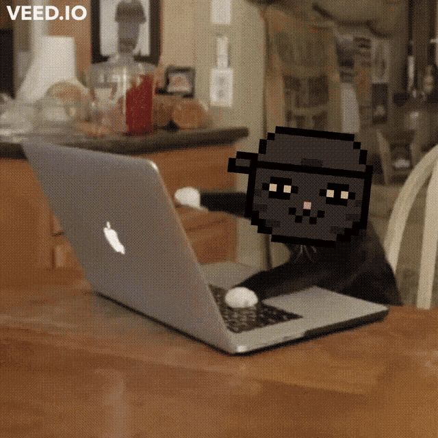 Pixl Cet Dao Cats GIF