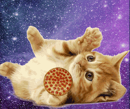 Pizza Cute GIF