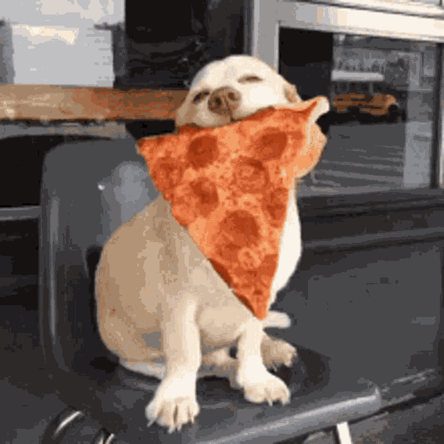 Pizza Delicious GIF