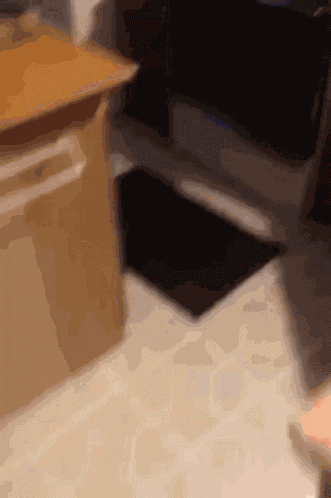 Pizza Fail GIF