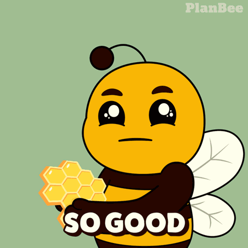 Plan B Planbee GIF
