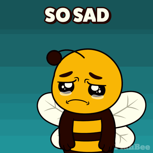 Plan B Planbee GIF