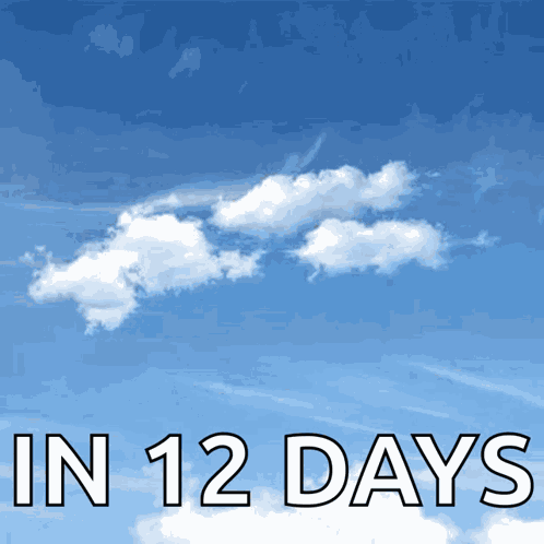 Plane Airplane GIF