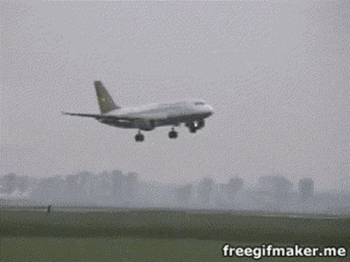 Plane Drunk GIF