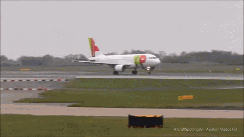 Plane Portugal GIF