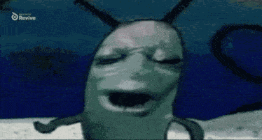 Plankton India GIF