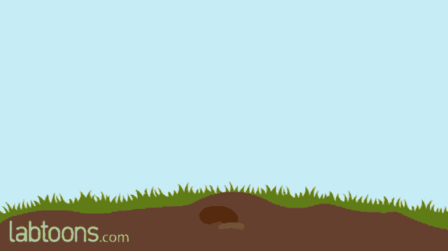 Plant Growth Stages GIF