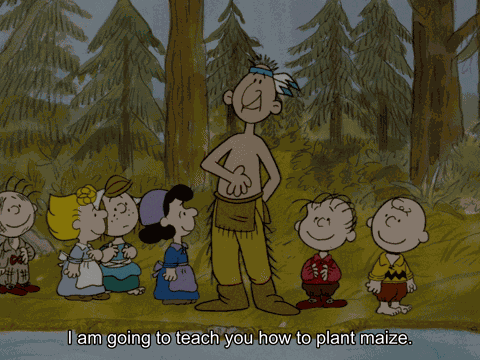 Plant Maize Plant Corn GIF