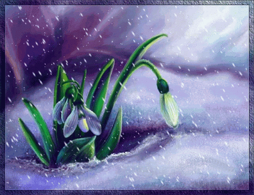 Plant Rain GIF
