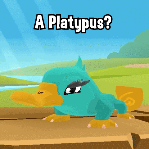 Platypus Perry The Platypus GIF
